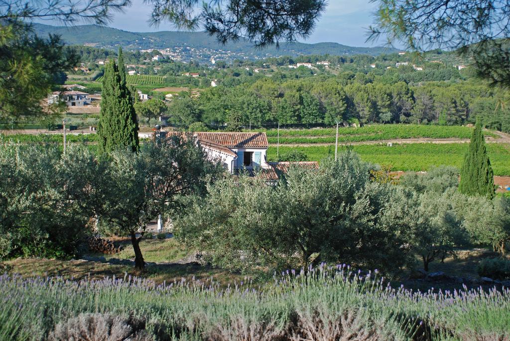 Domaine Rabiega - Vineyard And Boutique Hotel Draguignan Eksteriør billede