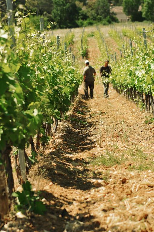 Domaine Rabiega - Vineyard And Boutique Hotel Draguignan Eksteriør billede