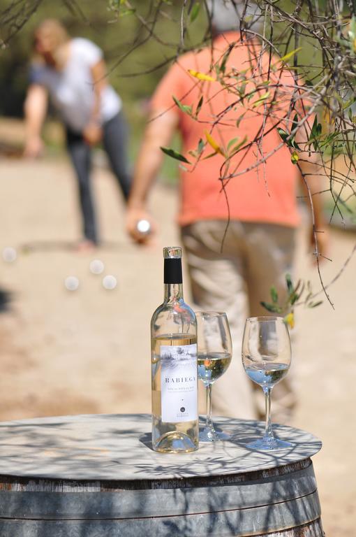 Domaine Rabiega - Vineyard And Boutique Hotel Draguignan Eksteriør billede