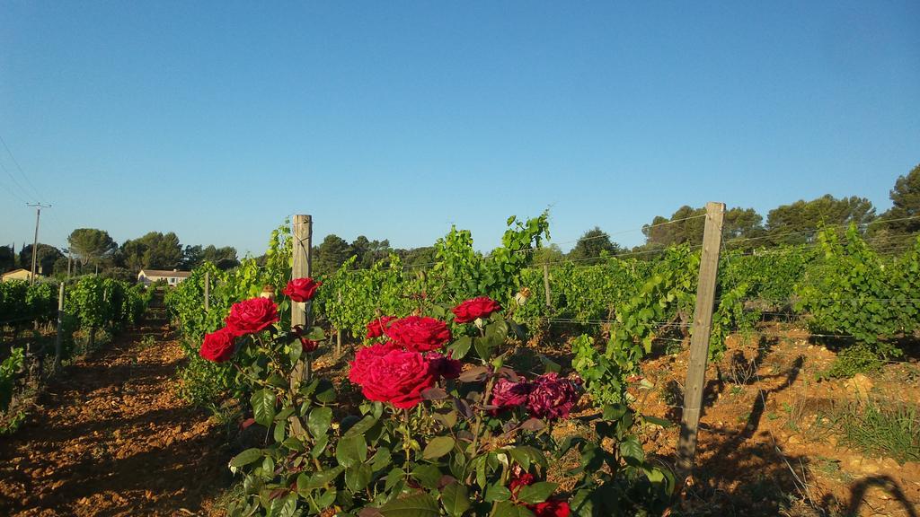 Domaine Rabiega - Vineyard And Boutique Hotel Draguignan Eksteriør billede